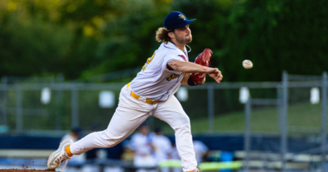 Sea Unicorns Rally To Sting Bees On Sunday Afternoon