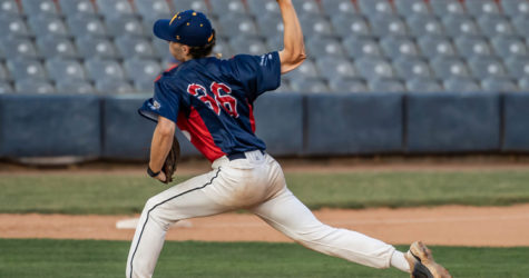 Sea Unicorns Ride The Wave To Victory On Shark In The Park Night