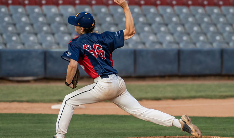 Sea Unicorns Ride The Wave To Victory On Shark In The Park Night