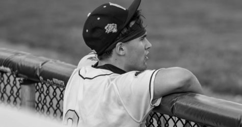 Norwich Loss Against Bees Solidifies Playoff Matchups